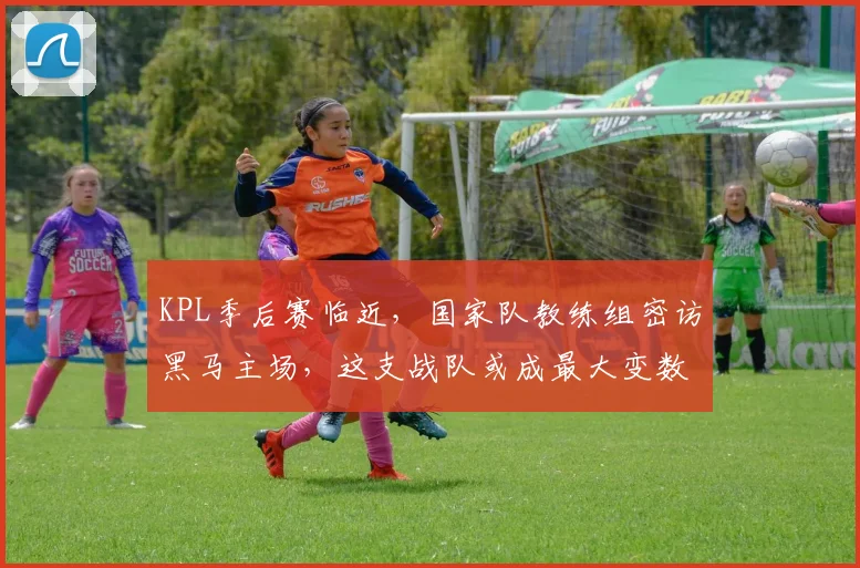 KPL季后赛临近，国家队教练组密访黑马主场，这支战队或成最大变数 - 中国体彩网推荐