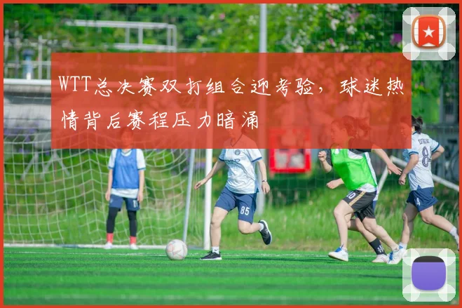 WTT总决赛双打组合迎考验，球迷热情背后赛程压力暗涌 - 中国体彩网推荐